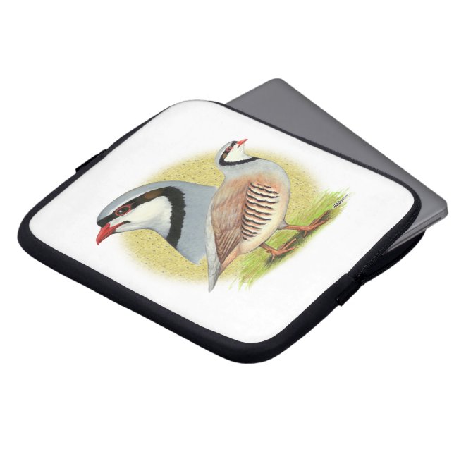 Chukar Partridge Combo Laptopschutzhülle (Vorne Oben)