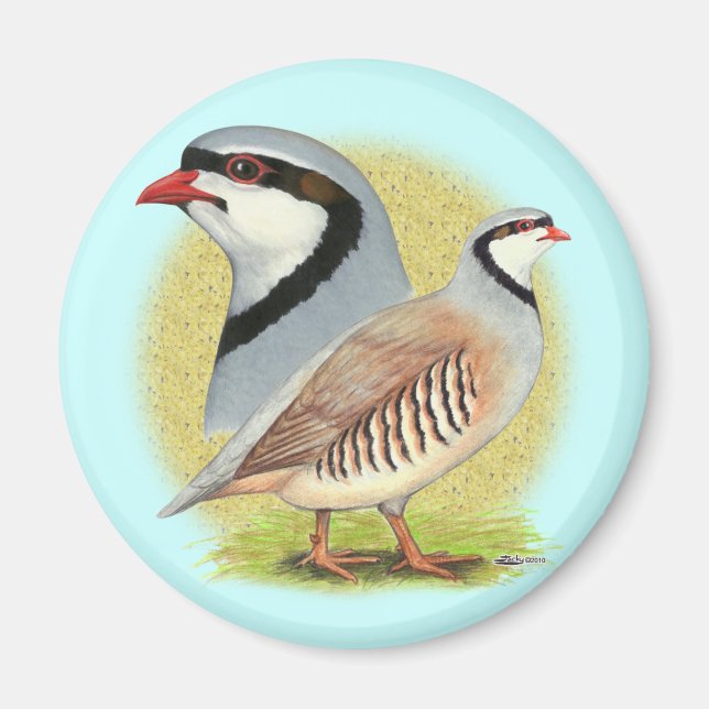 Chukar Partridge Combo Magnet (Vorne)