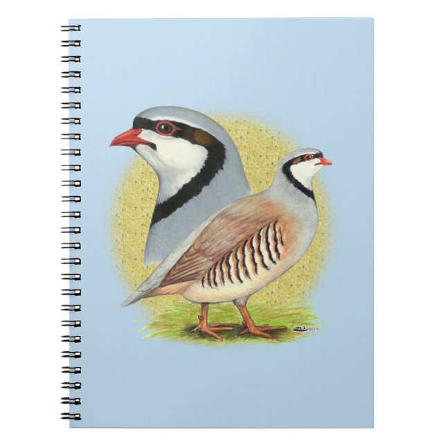 Chukar Partridge Combo Notizblock (Vorderseite)