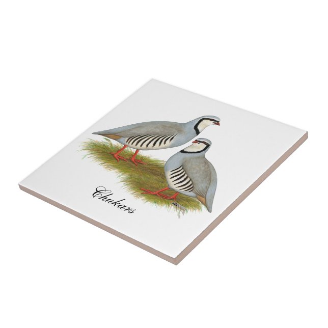 Chukar Partridge Fliese (Seite)
