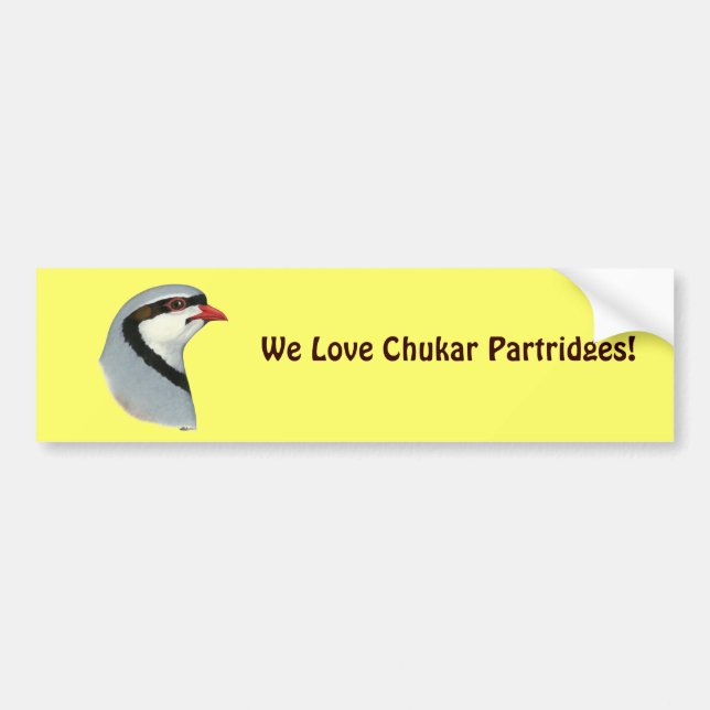 Chukar: Partridge Head Autoaufkleber (Vorne)