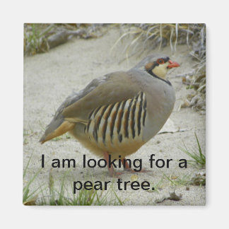 Chukar Partridge Jagdsport Magnet