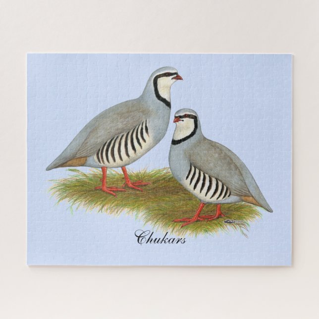 Chukar Partridge Pair (Horizontal)
