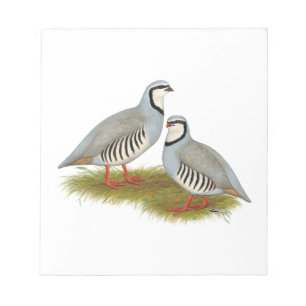 Chukar Partridge Pair Notizblock