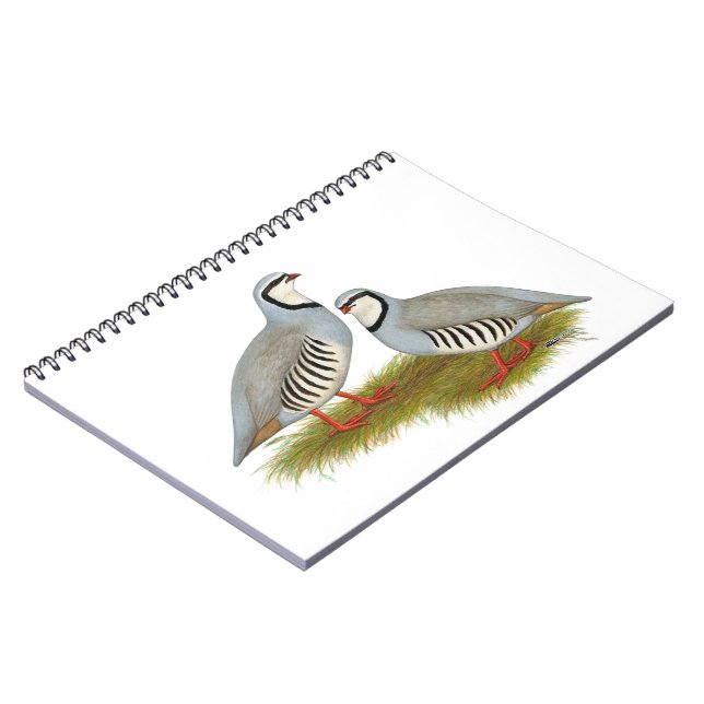 Chukar Partridge Pair Notizblock (Linke Seite)
