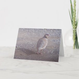 Chukar Weihnachtskarte Feiertagskarte