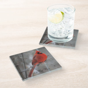 Chunky Bright Red Male Kardinal im Winterschnee Glasuntersetzer