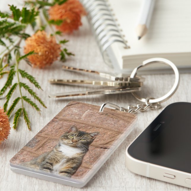 Church Cat (Devant droit)