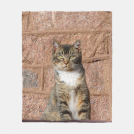 Church Cat Fleecedecke