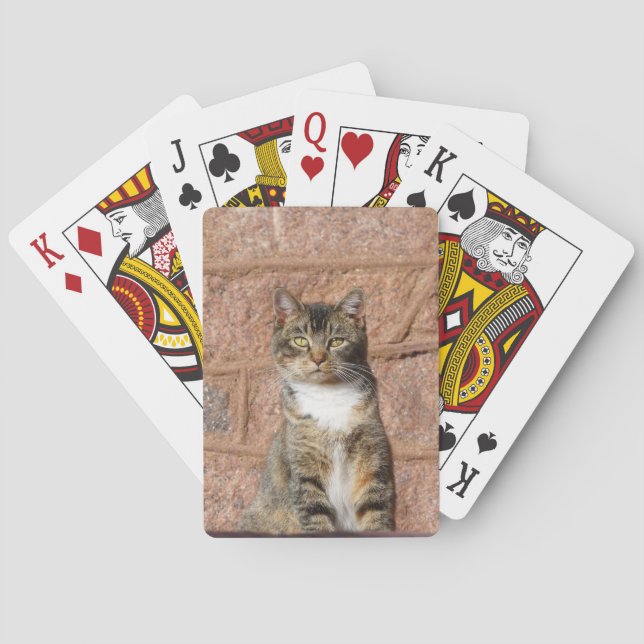 Church Cat Spielkarten (Rückseite)
