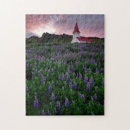 Church in Field of Lupine Wildblumen in Island