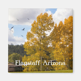 Chute à Flagstaff Arizona Magnet