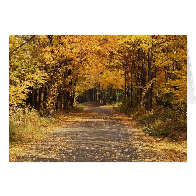 Chute des Feuilles (Devant horizontal)