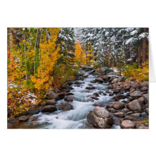 Chute le long du ruisseau Bishop, Californie