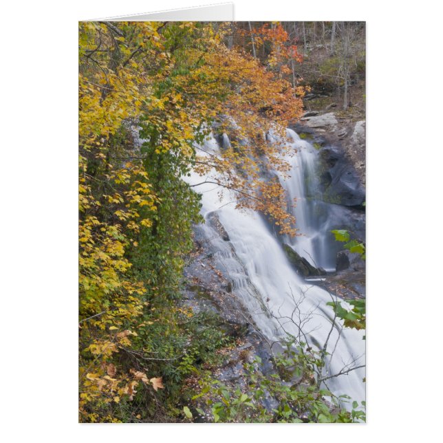 Chutes de Bald River (Devant)