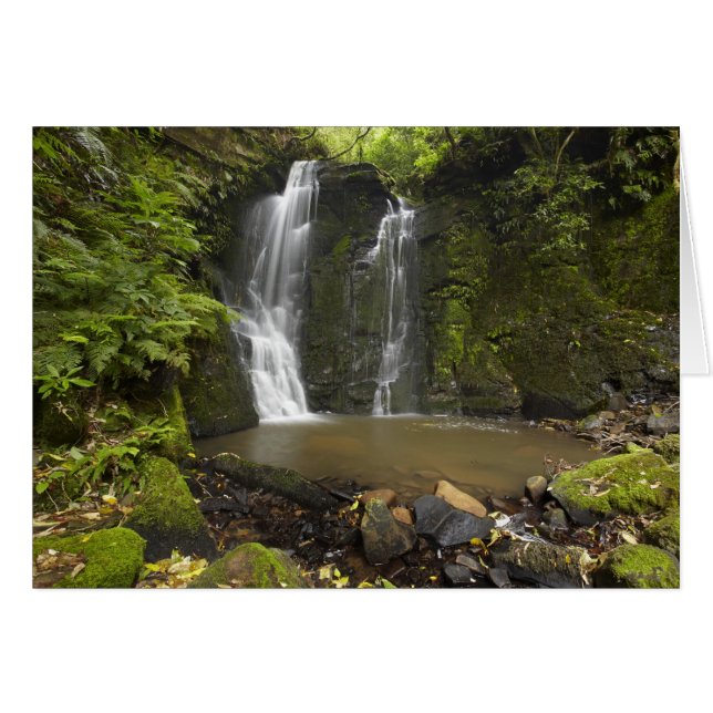 chutes de Horseshoe, chutes de Matai (Devant horizontal)