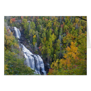 Chutes d'eau Whitewater dans le Nantahala National