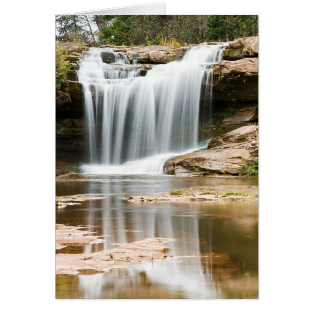 Chutes O Kun De Kun (Devant)