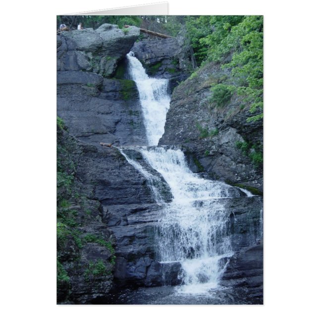 Chutes Raymondskill (Devant)