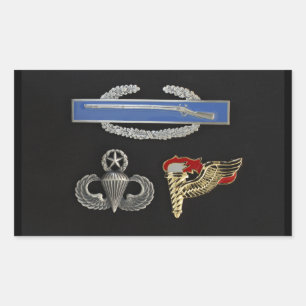 CIB Master Im Flugzeug Pathfinder Rechteckiger Aufkleber