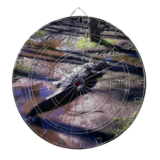 Cible De Fléchettes Alligator de la Floride (Devant)