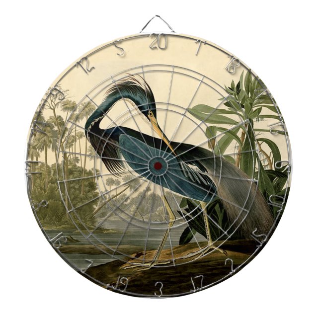 Cible De Fléchettes Audubon Louisiana Heron Birds America Art (Devant)
