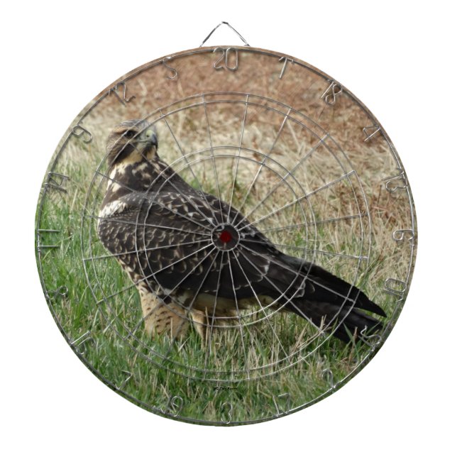 Cible De Fléchettes B52 Swainson's Hawk (Devant)