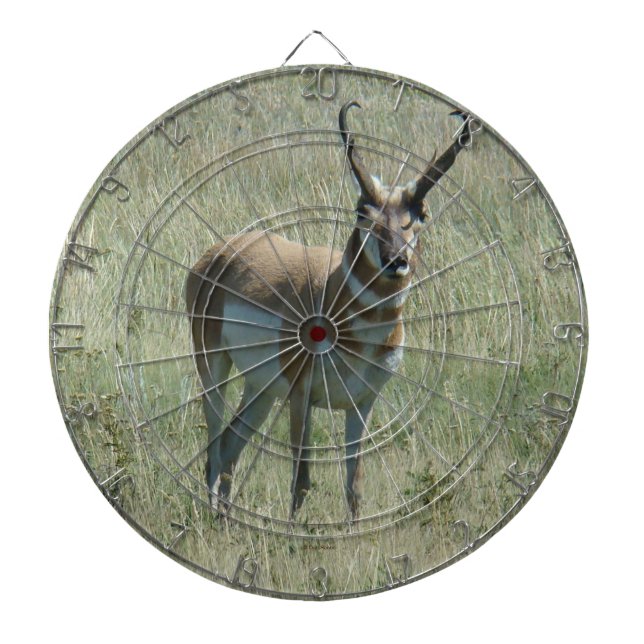 Cible De Fléchettes Cerf antilope A13 (Devant)