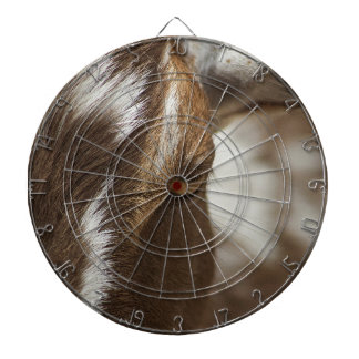 Cible De Fléchettes Chèvre