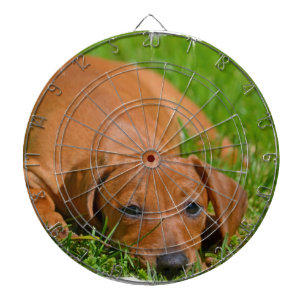 Cible de flechettes - customisée