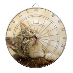 Cible De Fléchettes Cute Kitten avec une paille étirée