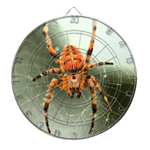 Cible De Fléchettes Dartboard