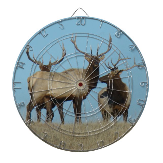 Cible De Fléchettes E60 Bull Elk ciel Lined (Devant)