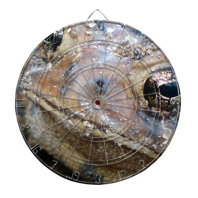 Cible De Fléchettes Face de crapaud (Devant)