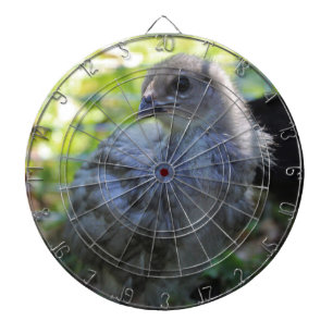 Cible De Fléchettes Jacinthe des bois