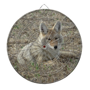 Cible De Fléchettes R22 Coyote Couché