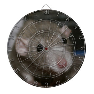 Cible De Fléchettes Rat curieux