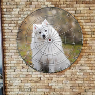 Cible De Fléchettes Tableau de bord personnalisé photo