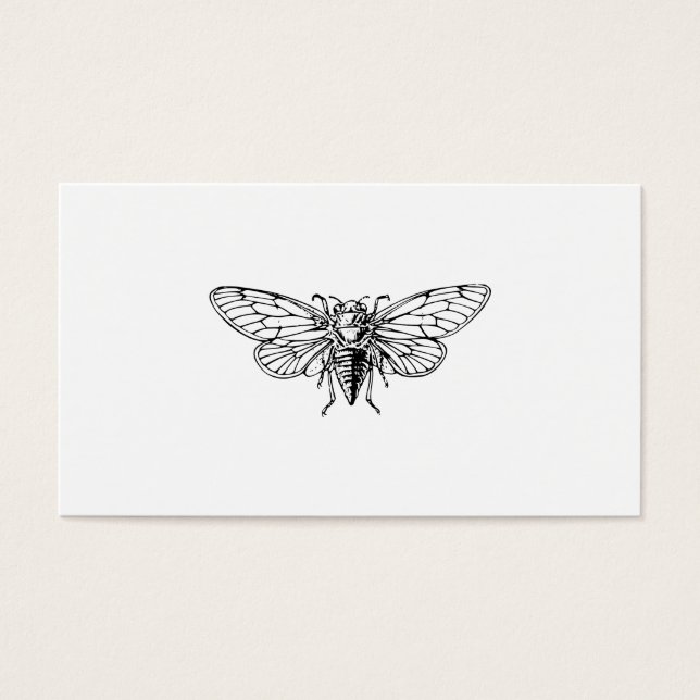Cicada (Vorderseite)