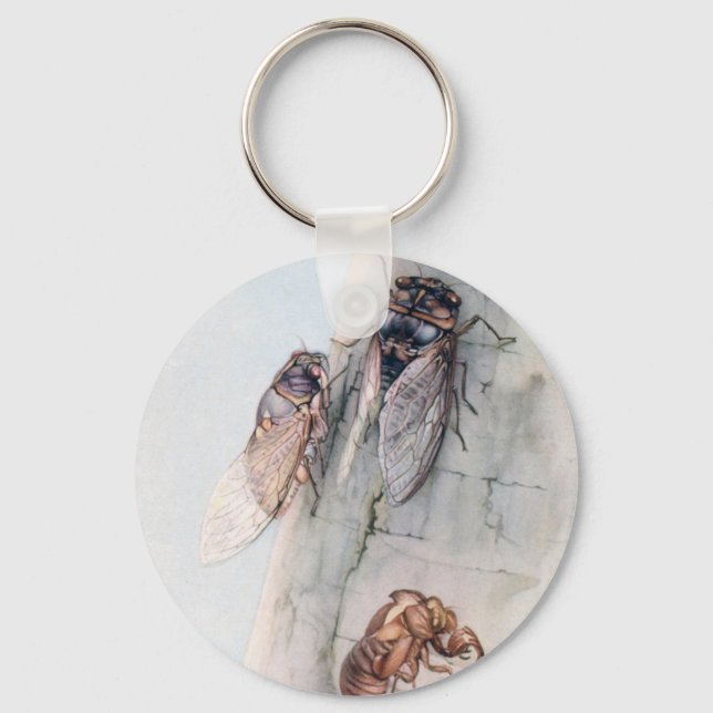 CICADA 2 SCHLÜSSELANHÄNGER (Vorderseite)