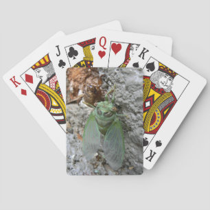 Cicada an der Mauer Spielkarten