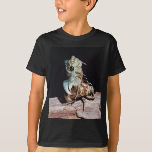 Cicada aus der Muschel T-Shirt