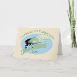 Cicada Brood X Emergence 2021 Karte