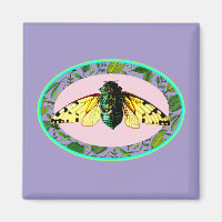 Cicada Bugs Insect Summer Tour Emergence Camping