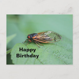 Cicada Foto Birthday Postkarte