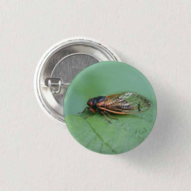 Cicada-Foto Button (Vorne & Hinten)