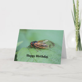 Cicada Foto Geburtstag Karte
