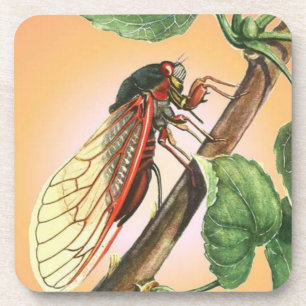 Cicada Insect Illustration Art Untersetzer