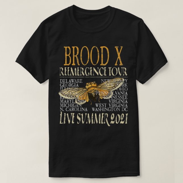 Cicada Insekt 17 Year Brood X Great Eastern Brood T-Shirt (Design vorne)