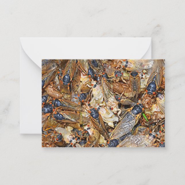 Cicada Invasion Mitteilungskarte (Vorderseite)